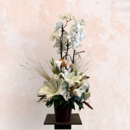 My White Orchid